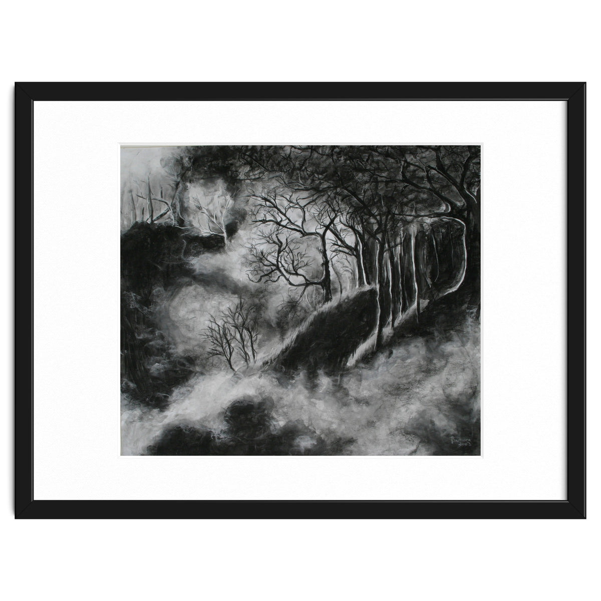 Black and White Forest in Clouds