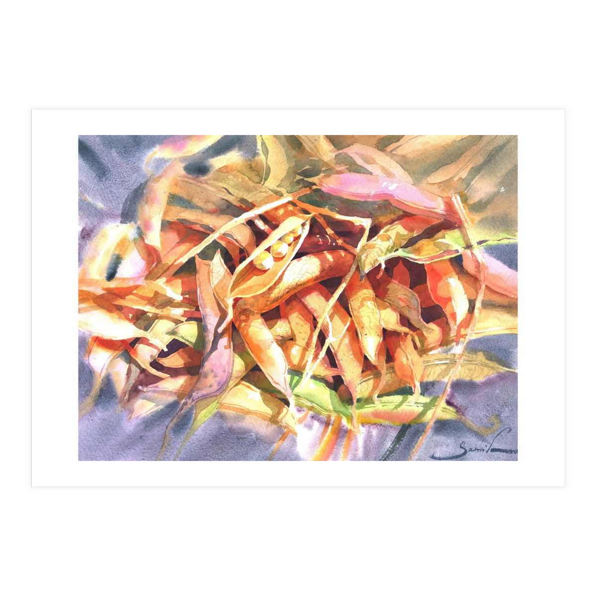 Bean Pods  (Print Only)