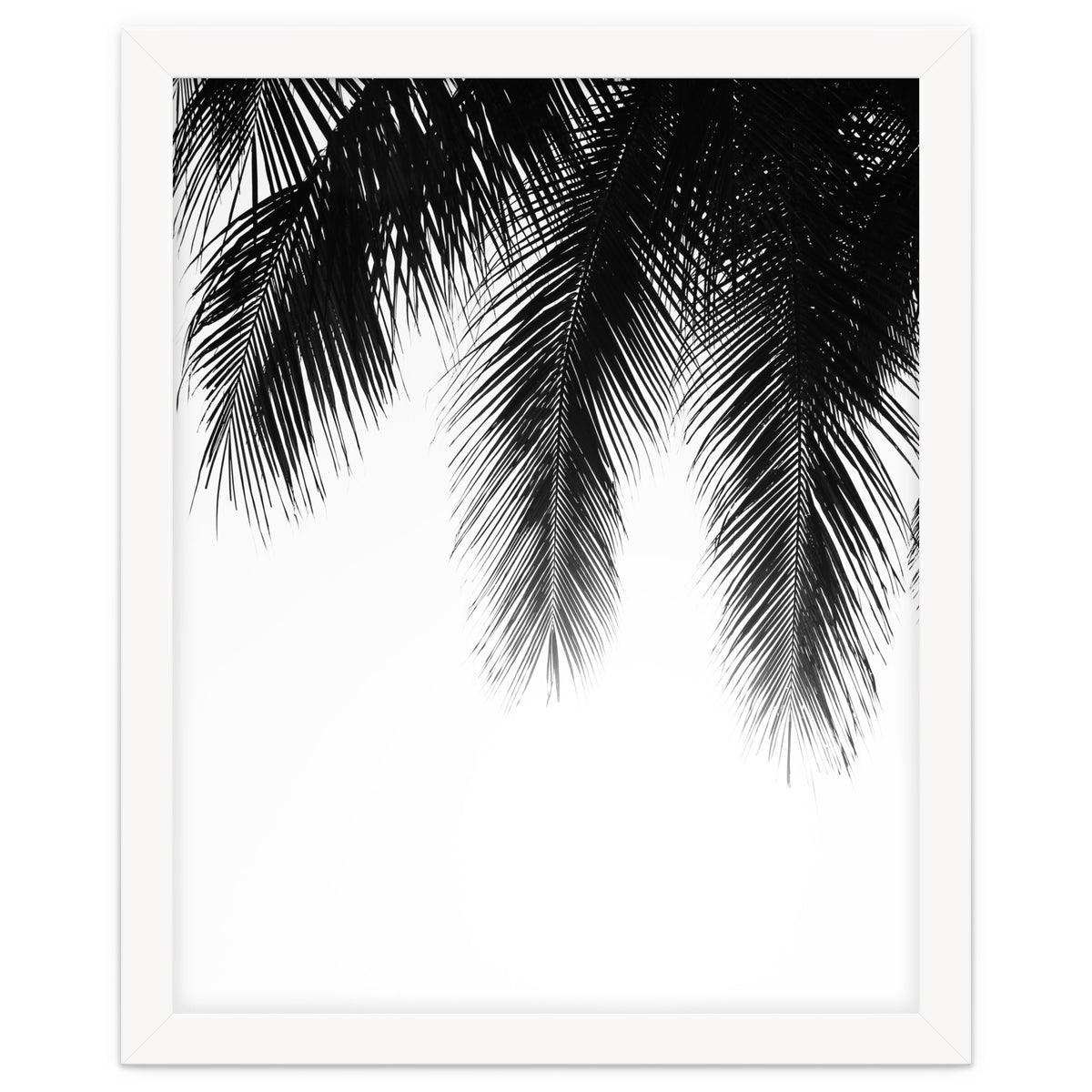 Palm leaves