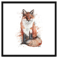 Fox - Wildlife Collection