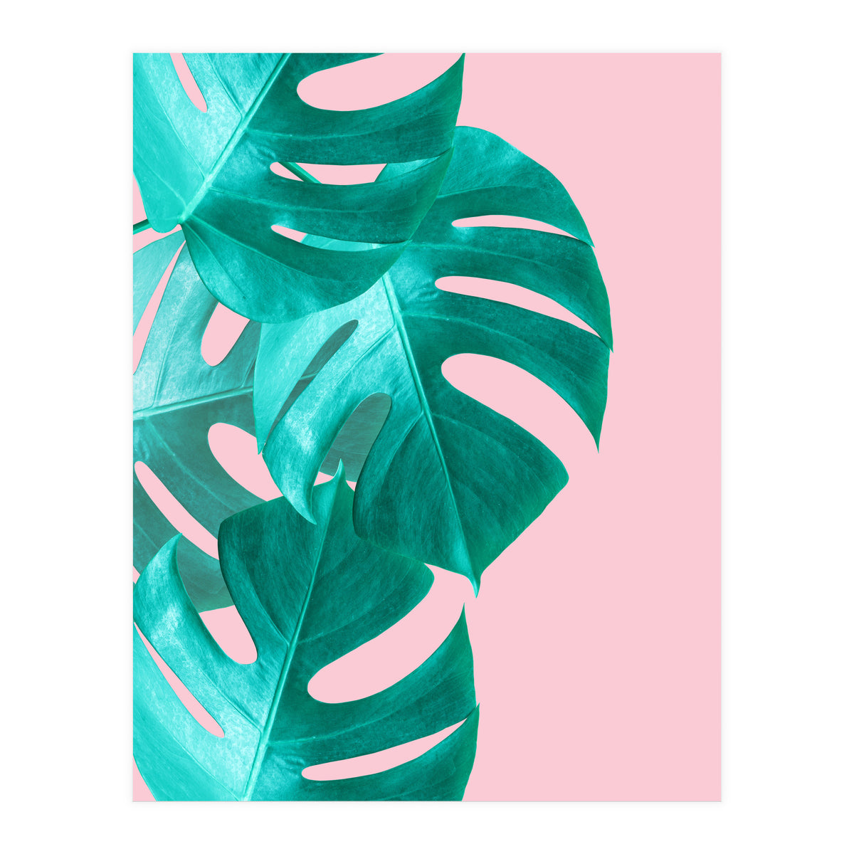 Tropical collage IV (Print Only)