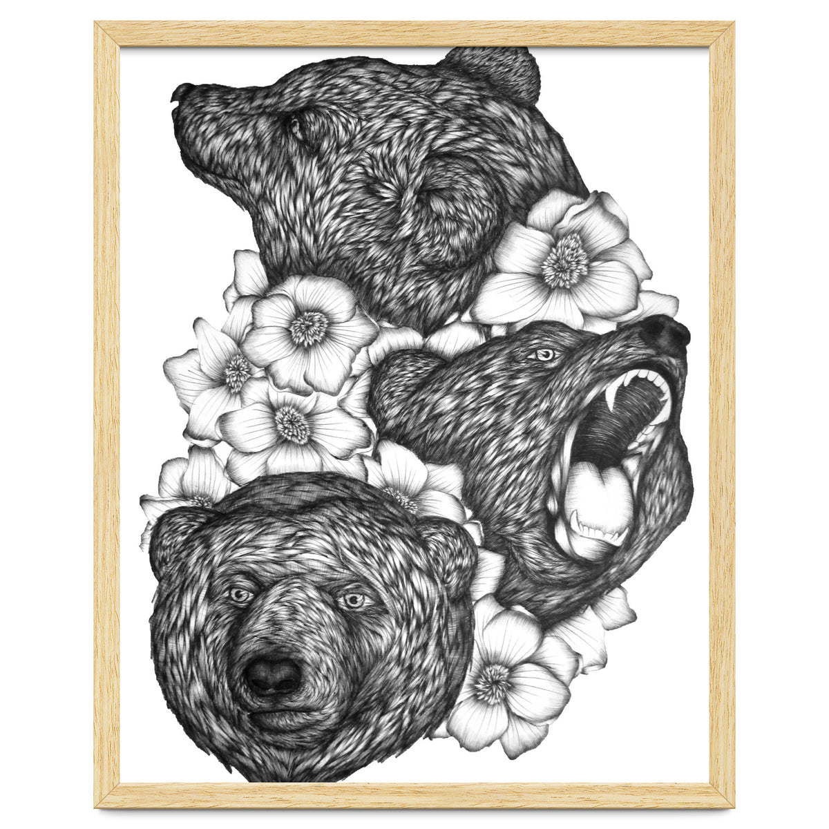Bears In Bears