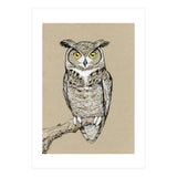 Great horned owl (Print Only) thumbnail