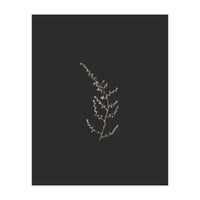 Delicate Golden Fynbos Botanicals on Black (Print Only)