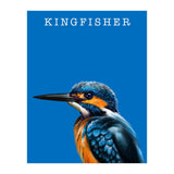Kingfisher (Print Only) thumbnail