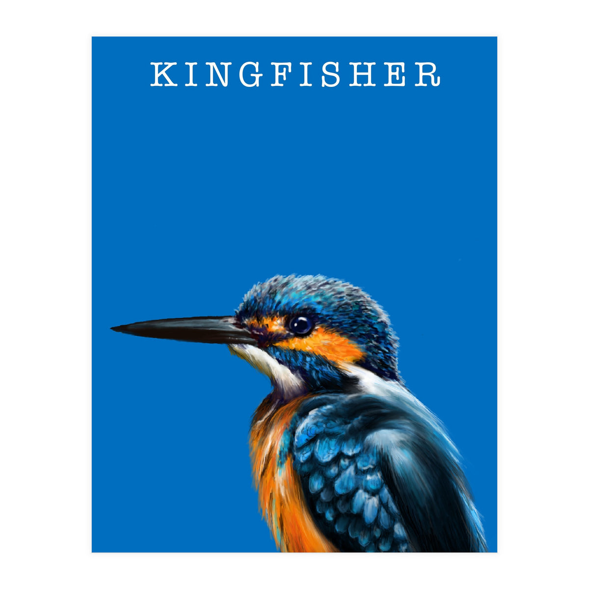 Kingfisher (Print Only)