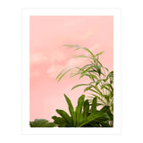 Minimal Botanical (Print Only) thumbnail
