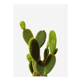 77 (Print Only) thumbnail