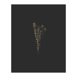 Moody Golden Botanicals (Print Only) thumbnail