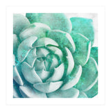 Rough Beauty 1 (Print Only) thumbnail