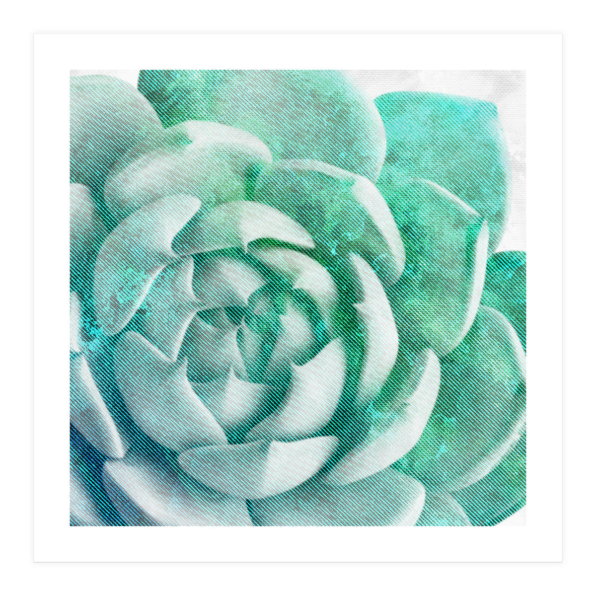 Rough Beauty 1 (Print Only)