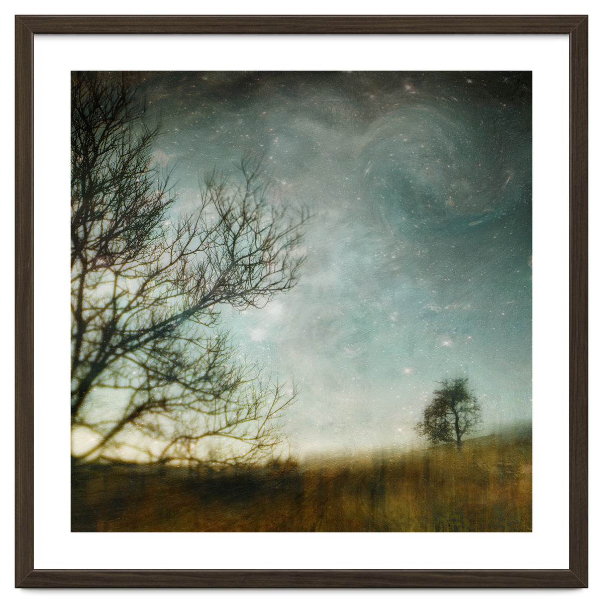 The Tree That Whispered