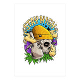 Stay High (Print Only) thumbnail