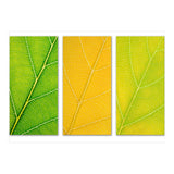 Autumn Leaves (Print Only) thumbnail