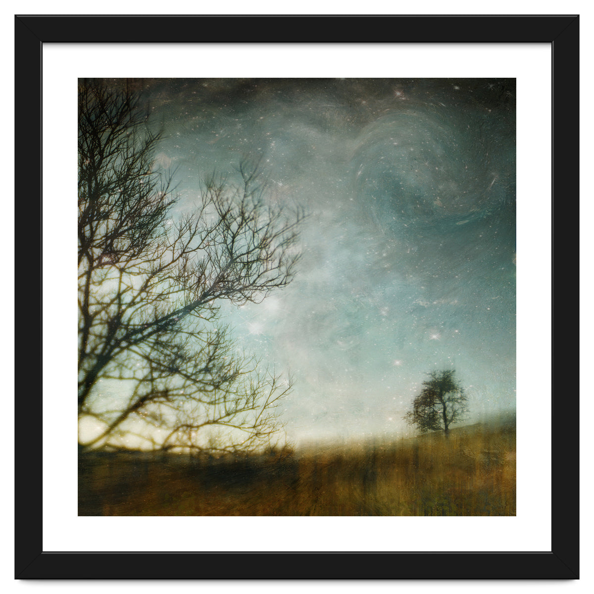 The Tree That Whispered