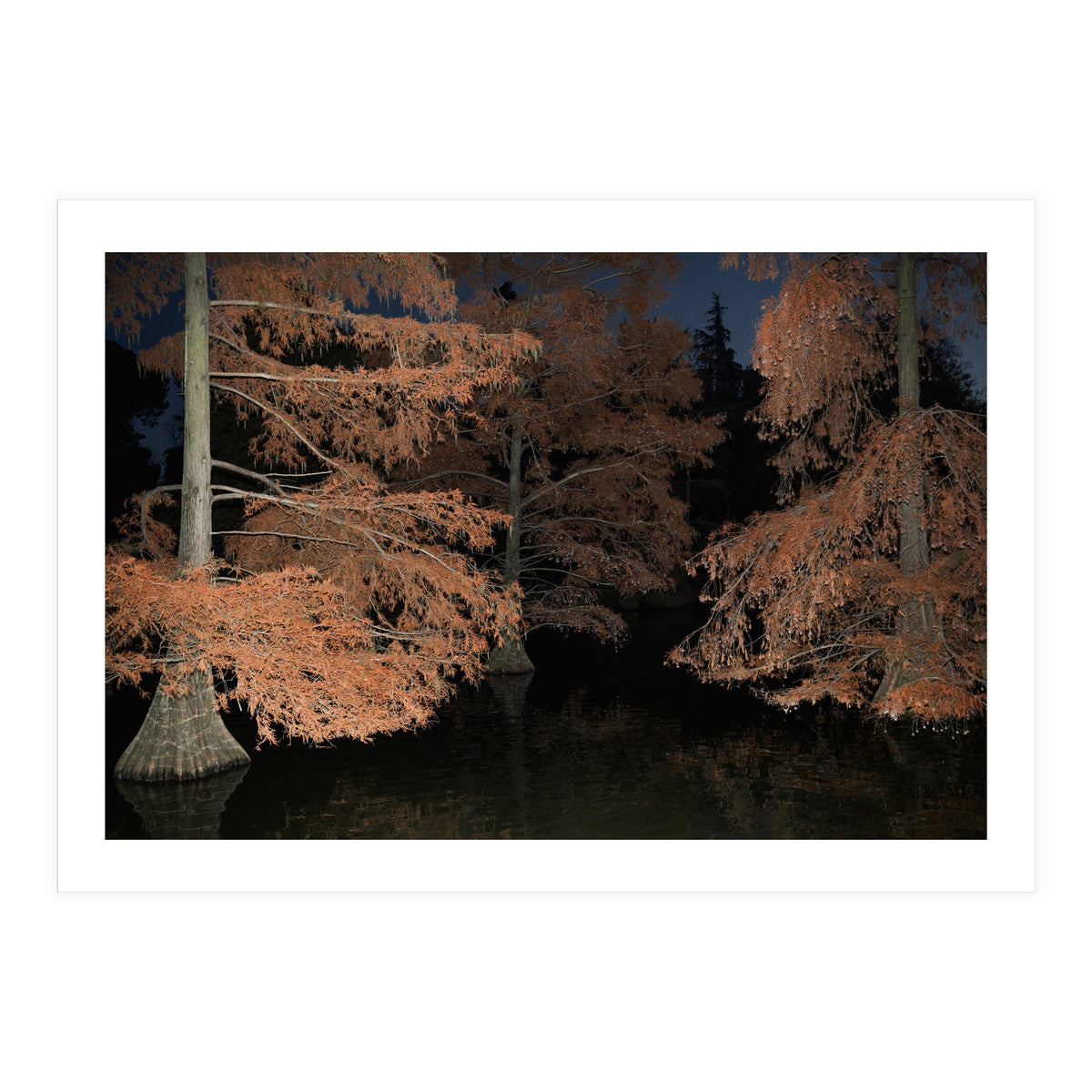 Sleepy Hollow (Print Only)