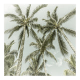 Lovely Palm Trees | Vintage (Print Only) thumbnail
