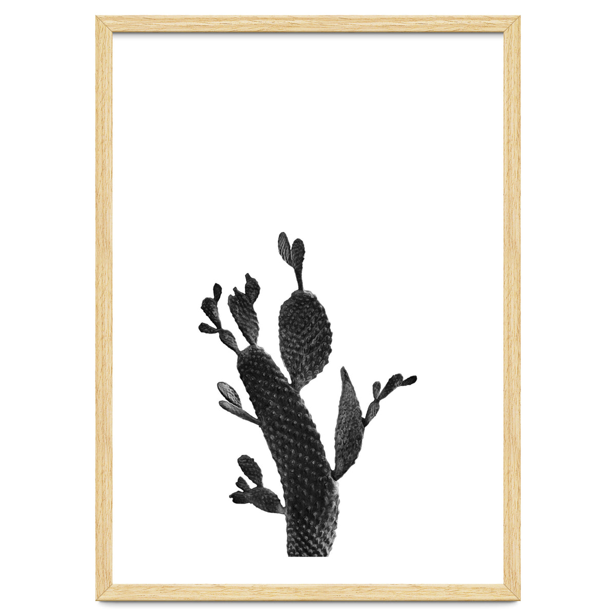 Cactus Black And White 02