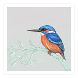 The kingfisher (Print Only) thumbnail