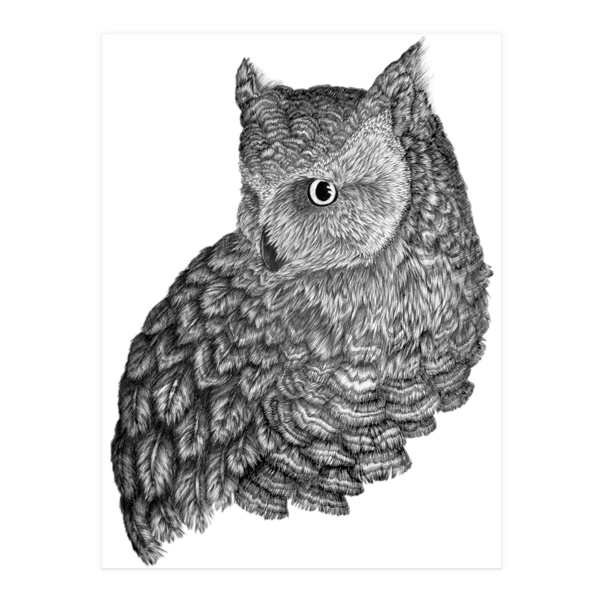 A Friend For Forsythe (Print Only)