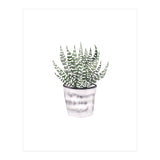Potted Plant (Print Only) thumbnail