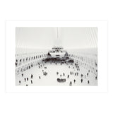 Oculus (Print Only) thumbnail