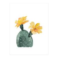 Botanical Illustration Yellow Cactus Flowers (Print Only)