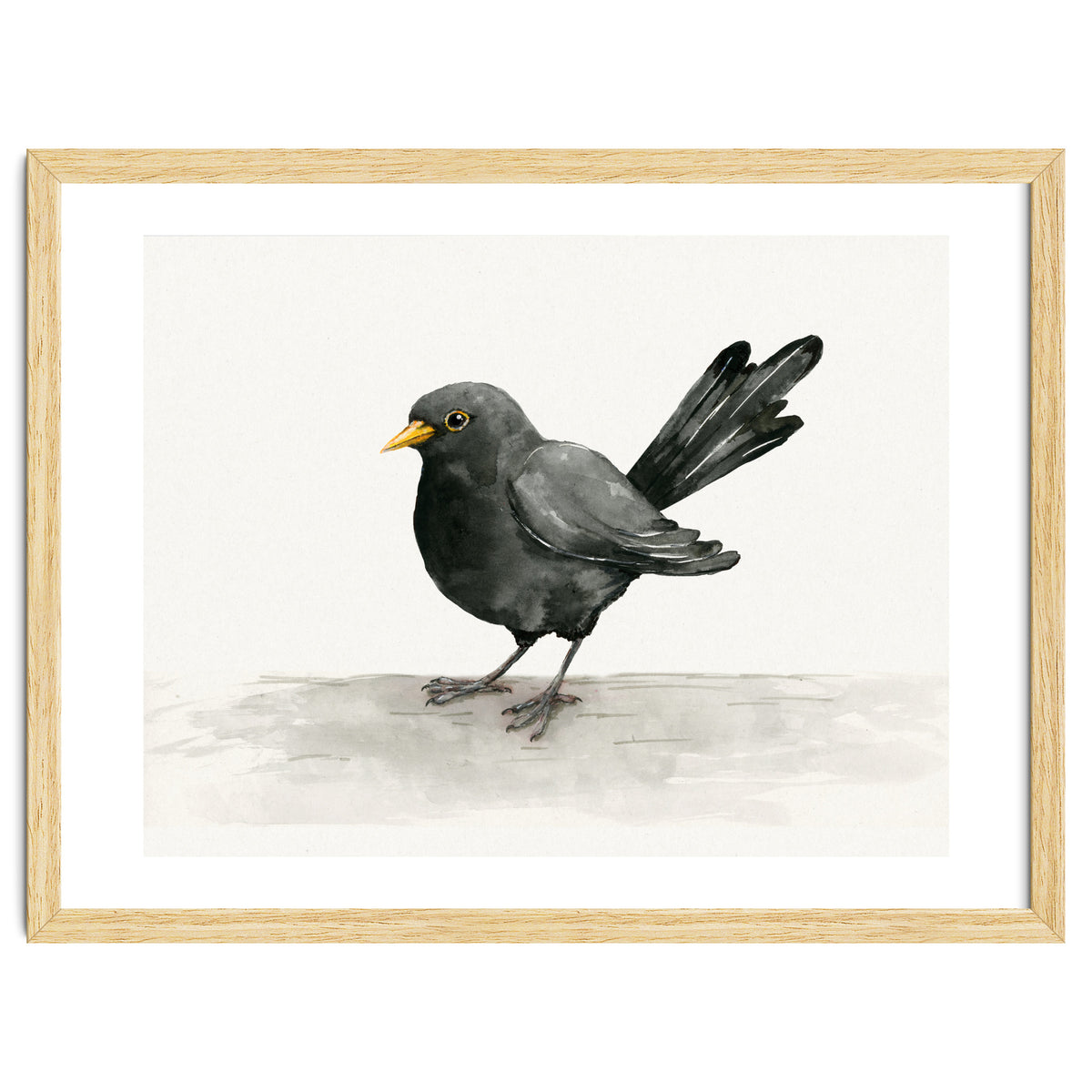 Blackbird ink drawing