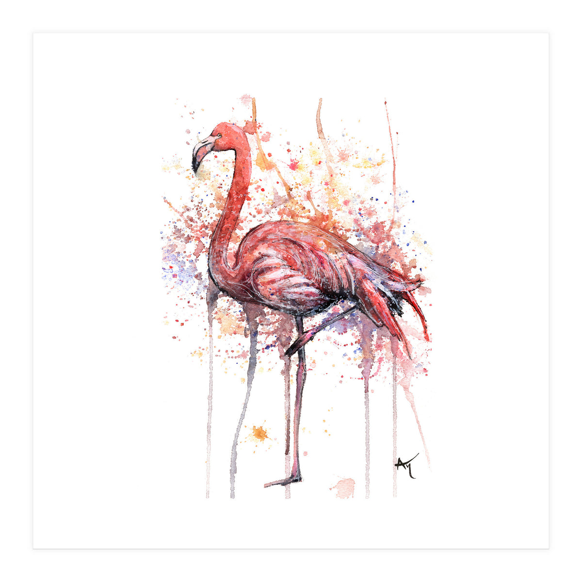 Flamingo - Wildlife Collection (Print Only)
