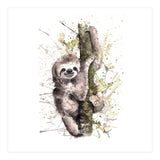 Sloth - Wildlife Collection (Print Only) thumbnail
