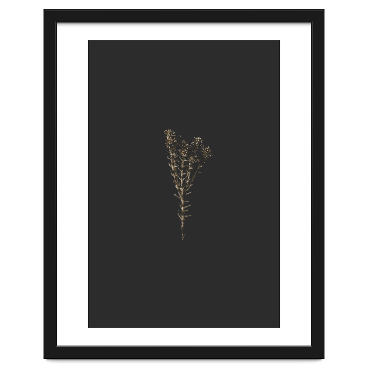 Moody Golden Botanicals