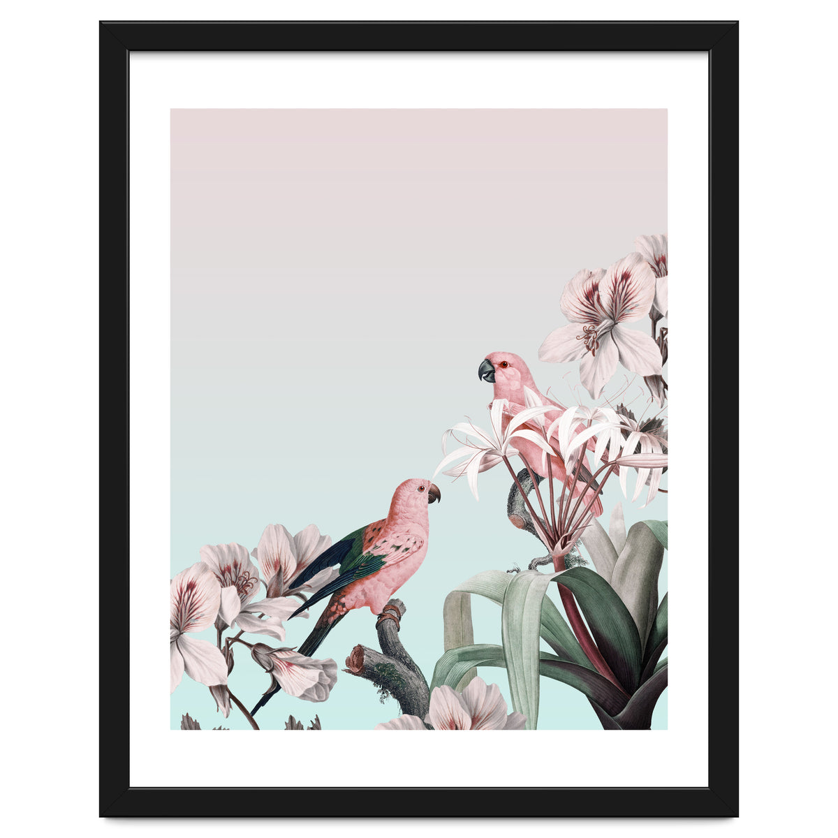 Pastel Parrots Paradise