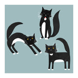 Black and White Tuxedo Cats (Print Only) thumbnail
