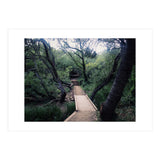 Glen Canyon Park (Print Only) thumbnail