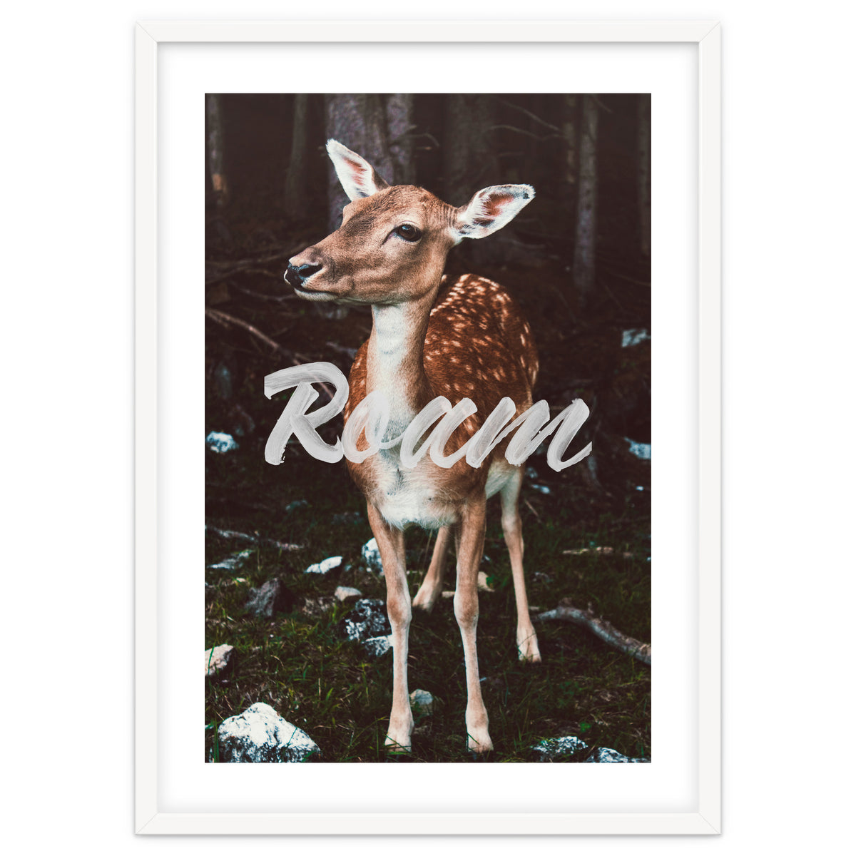 Roam