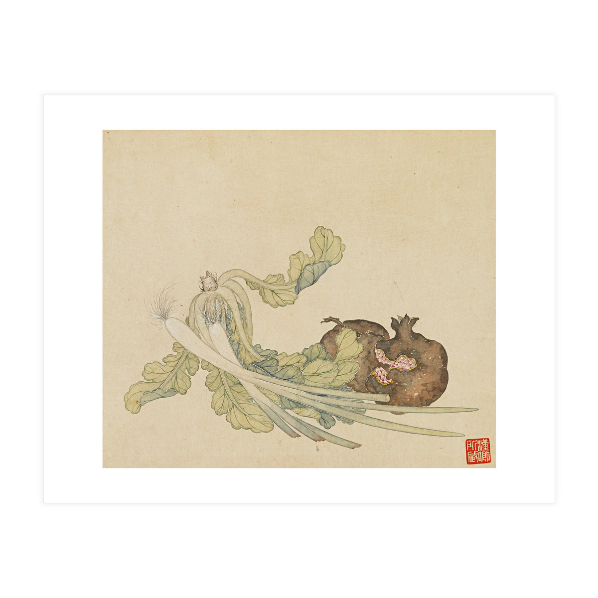Wang Chengyu ~flowers, Vegetables, Pomegranates, Onions, Chinese Cabbage, Vegetables (Print Only)