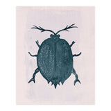 Beetle 2 (Print Only) thumbnail
