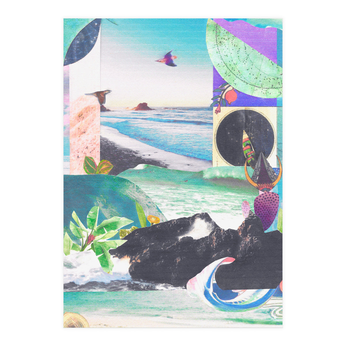 Beak Ruddy (Print Only)