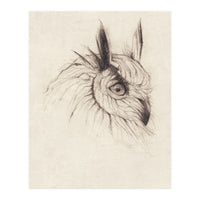 Owl (Print Only)