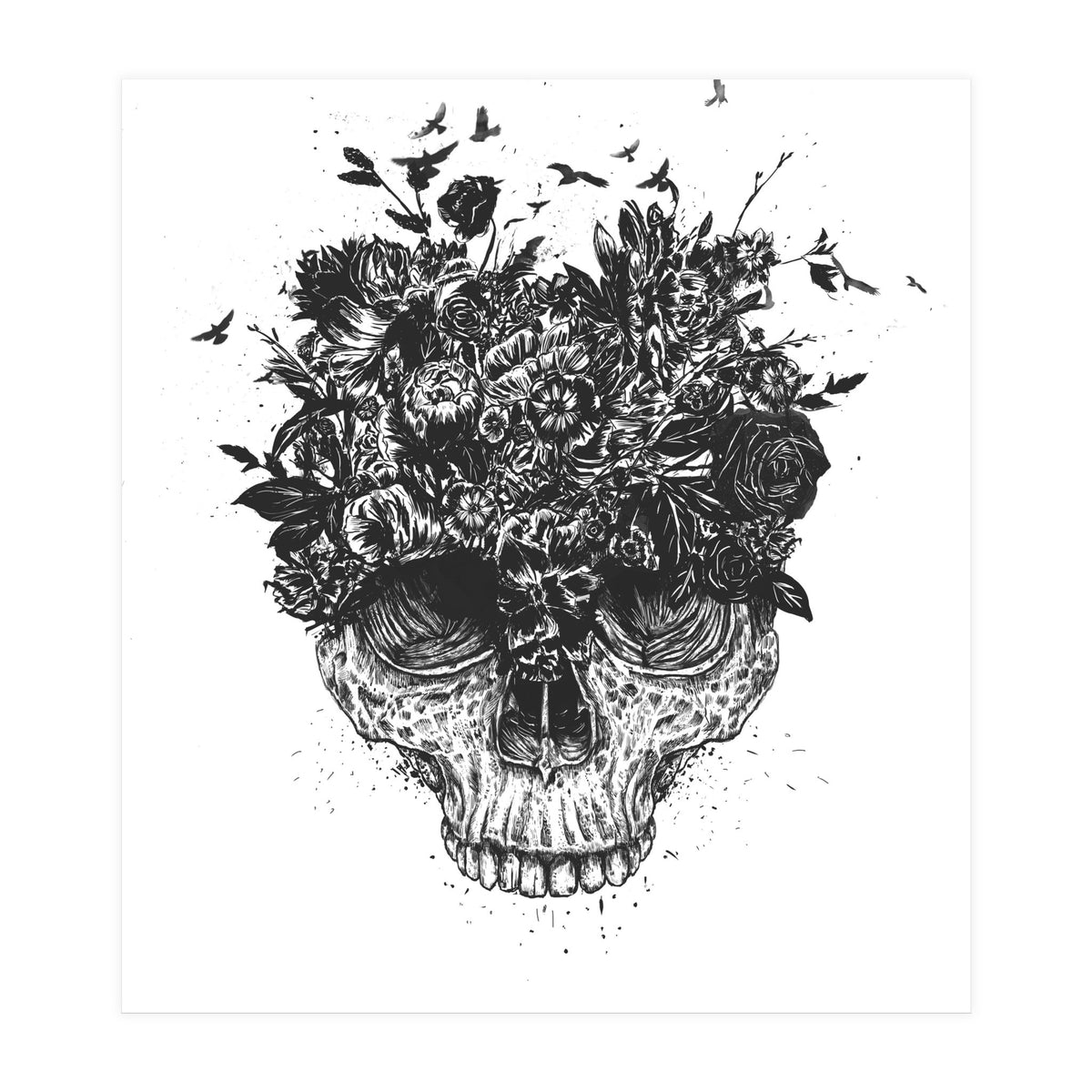 My Head Is A Jungle Bw (Print Only)