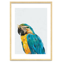 Macaw Portrait wearing gold glasses