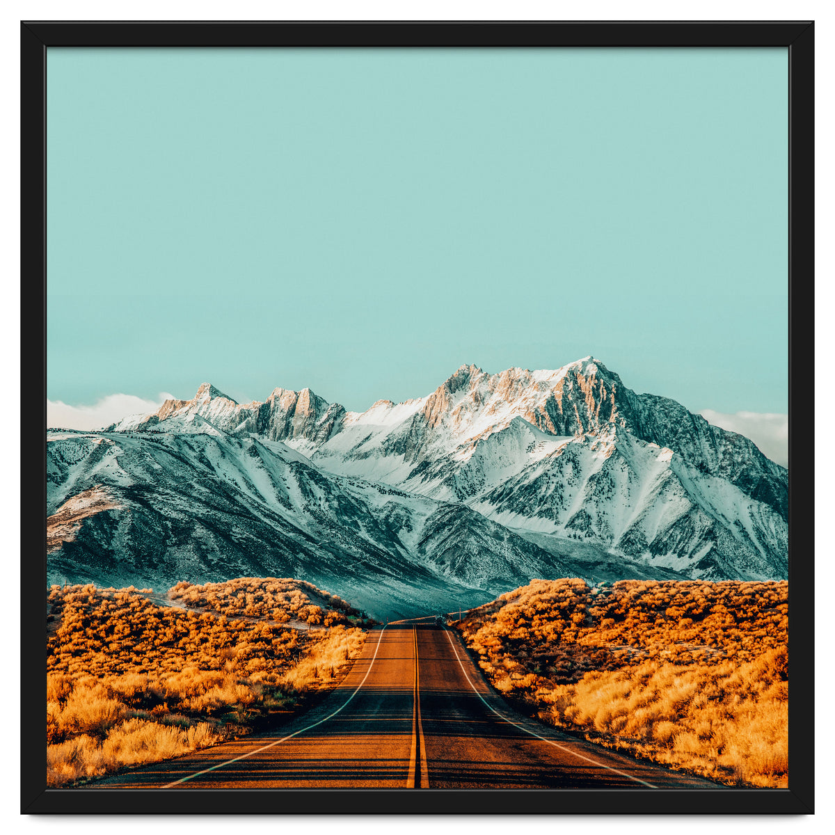 The Road Less Traveled