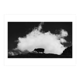 cow and cloud (Print Only) thumbnail