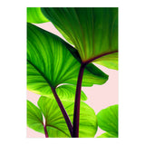 Charming Sequence (Print Only) thumbnail