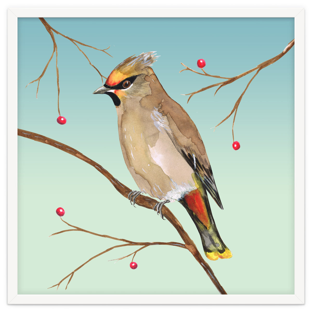 Bohemian waxwing