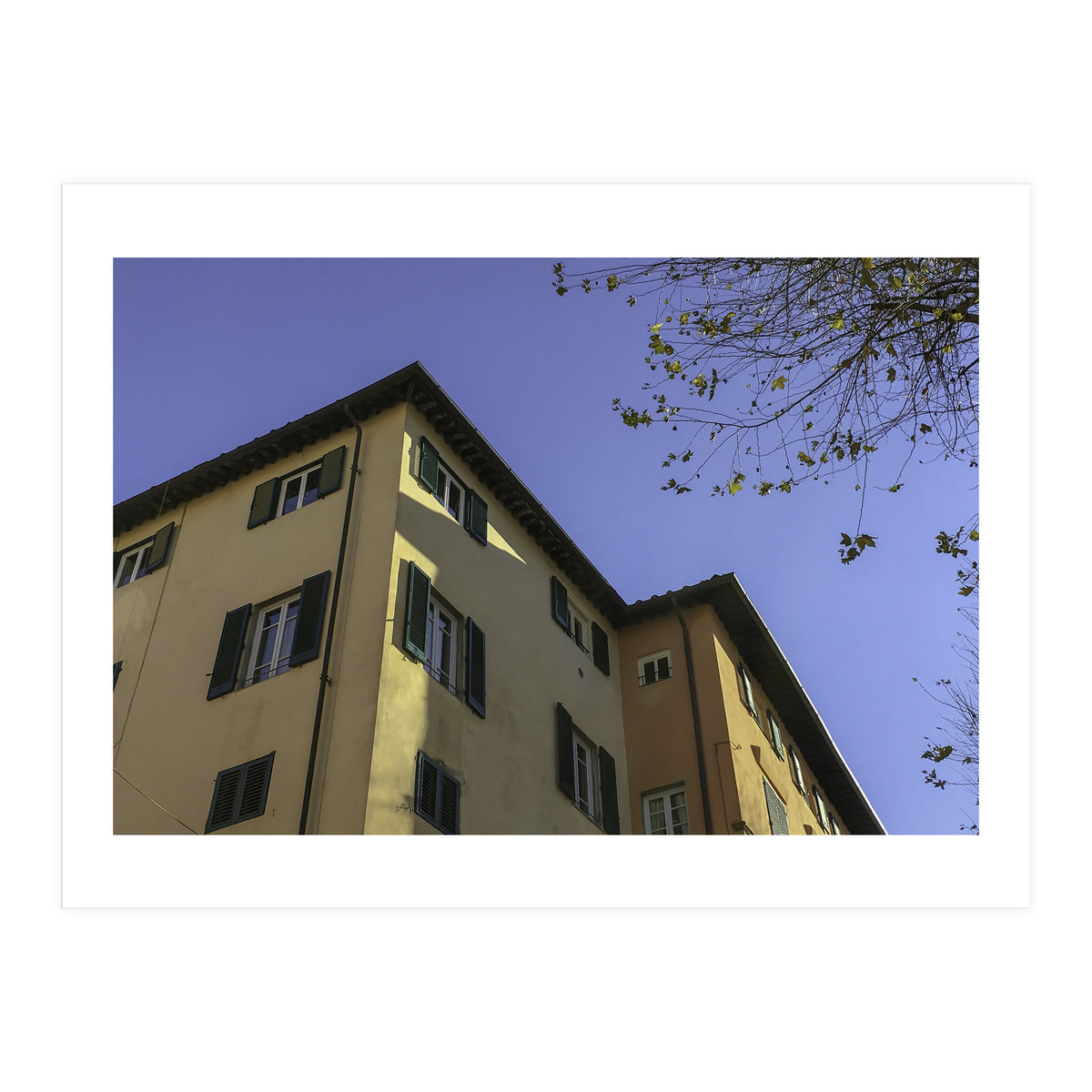 Windows From Tuscany 2 (Print Only)