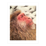 Japanese Macaque At The Onsen (Print Only) thumbnail