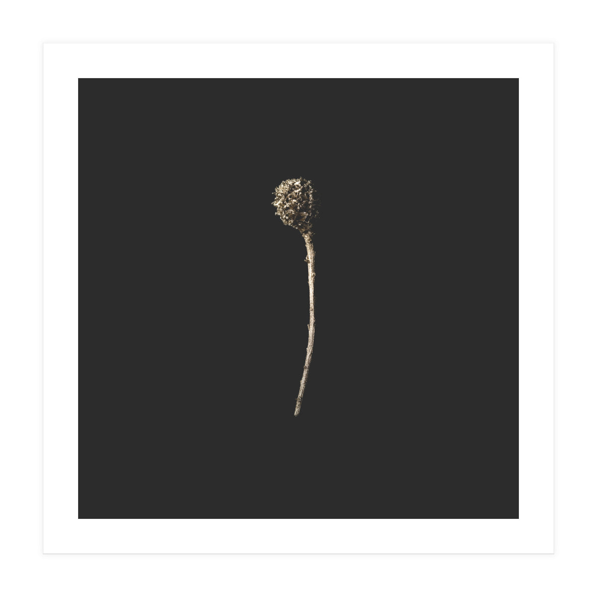 Simple Golden Botanical - Square (Print Only)