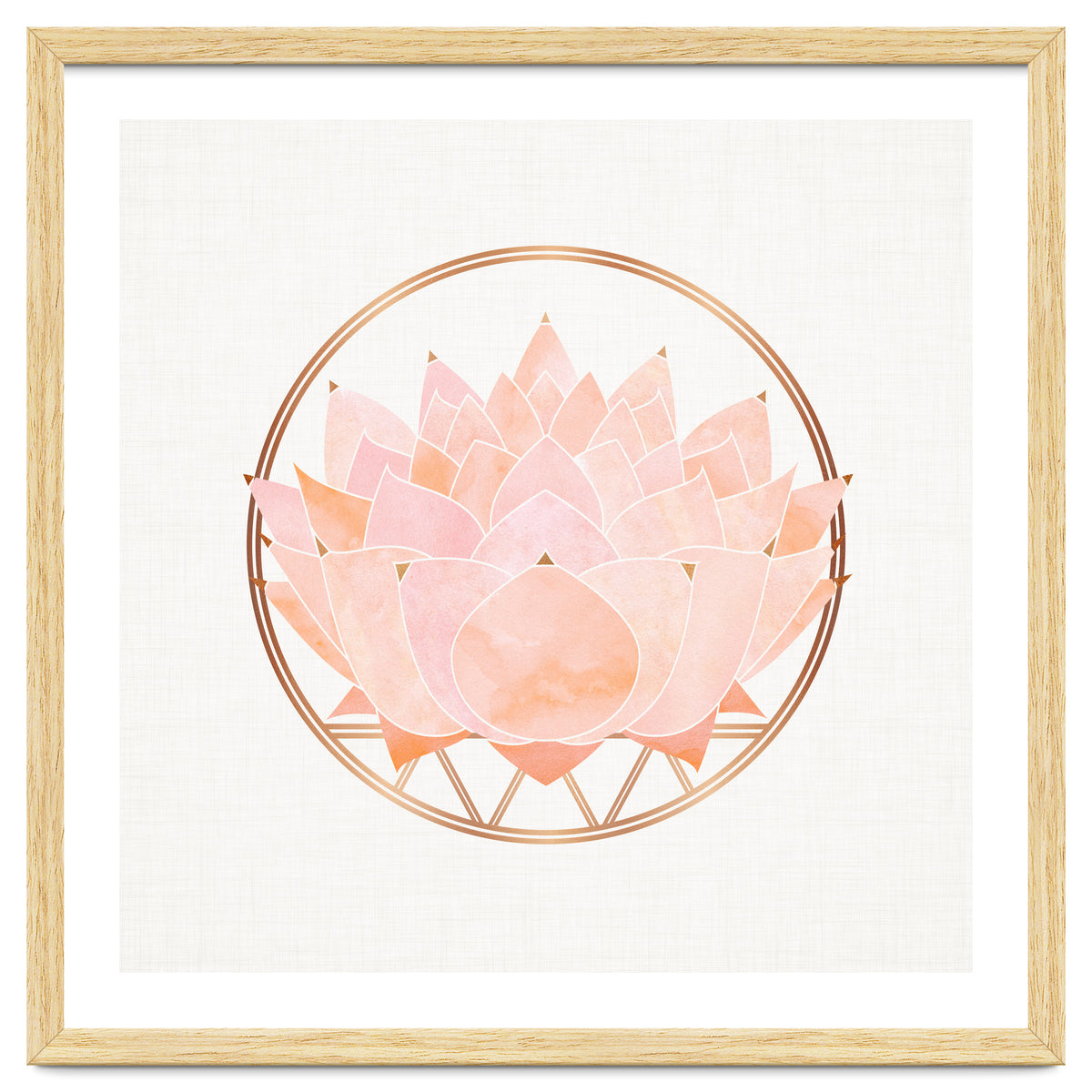 Peach Succulent  Blossom