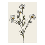 Bunch I (Print Only) thumbnail